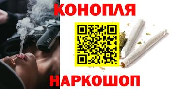 сатива Сланцы