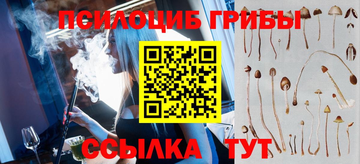 Псилоцибиновые грибы мицелий  Вход с VPN  Улан-Удэ 